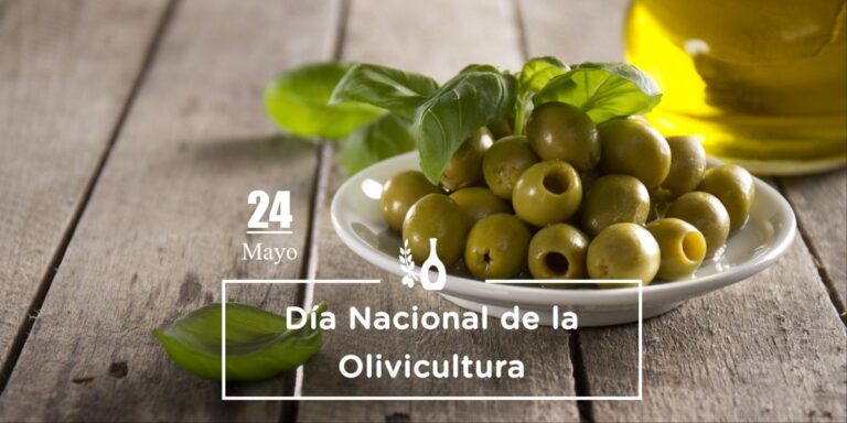 Día Nacional de la Olivicultura Argentina